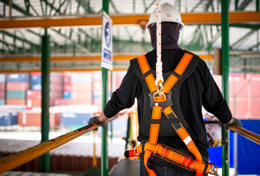 Tamamlayıcı Ürünler